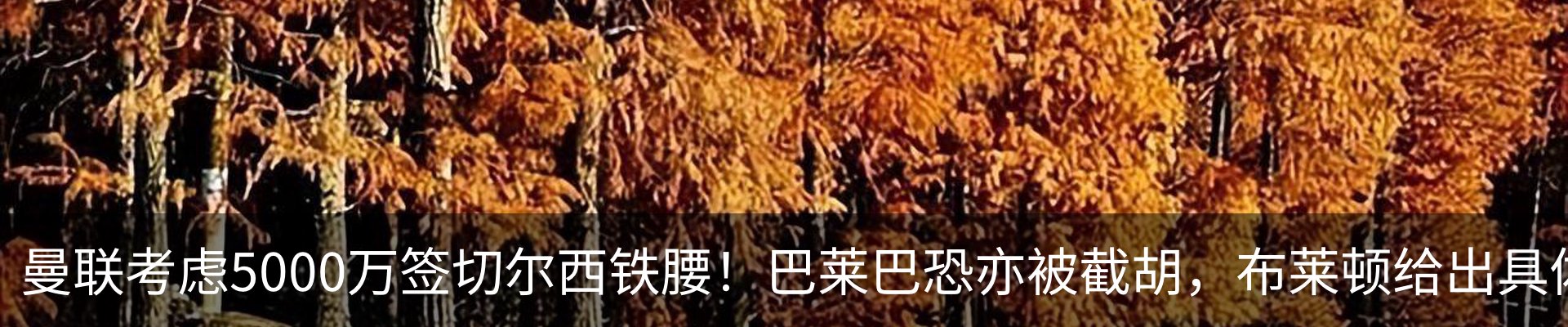 新闻中心