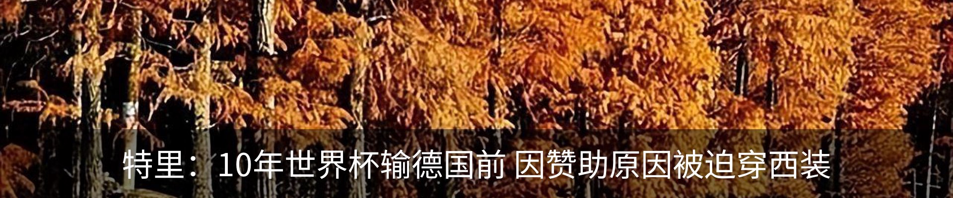 新闻中心